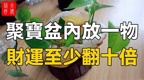 聚寶盆放哪裡|【聚寶盆怎麼放】招財必備！揭秘聚寶盆最佳擺放位置。